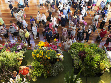 5 Days of the Most Beautiful Flowers You’ve Ever Seen