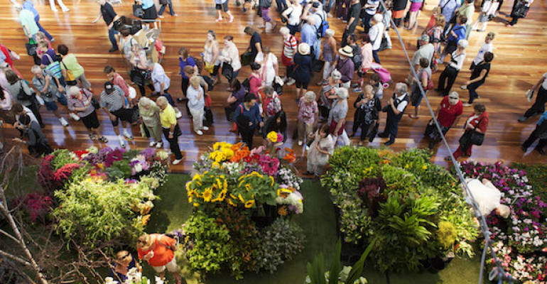 5 Days of the Most Beautiful Flowers You’ve Ever Seen