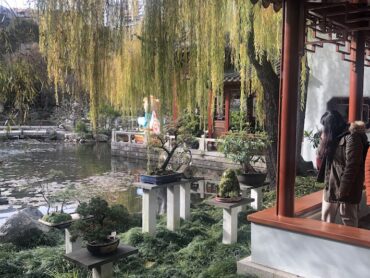 One Dining opens at The Chinese Garden of Friendship – yum cha, tail slapping koi carp and fantastic desserts