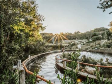 Hotel Review – Eco Lodge at Peninsula Hot Springs. The ultimate relaxation, rejuvenation and culinary delight