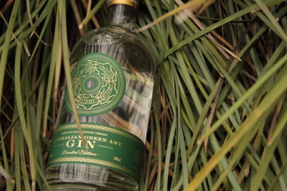 __opt__aboutcom__coeus__resources__content_migration__liquor__2018__10__01090932__No-Ants-Were-Hamed-in-the-Making-of-this-Gin-bottle-720×480-inline-2e81afe7d2d34246bdd03e4fbaa61414